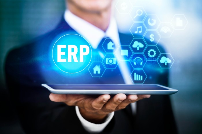 custom erp software developers in India