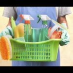 Understanding Household Cleaning Products For A Healthier Home