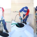 How Can You Find the Most Effective Deemak Control Services in Lahore?