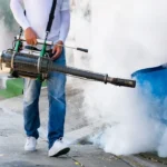 What Is the Most Effective Bed Bug Killer in Lahore for Complete Pest Removal?